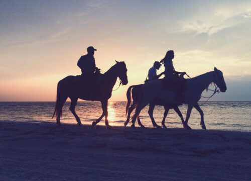 Promenade à cheval sur la mer et dans le désert