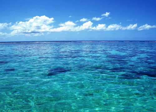 Tourisme durable avec Mohamed Abdallah Tours – Préserver la mer Rouge