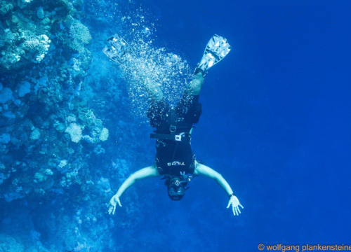 Sports nautiques en Égypte : plongée, snorkeling et jet ski pour tous les niveaux