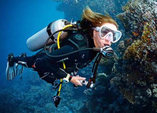 Le grand comparatif des excursions en Mer Rouge depuis Hurghada : snorkeling, plongée, îles, dauphins et sorties bateau