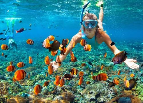 Snorkeling en Égypte : les meilleurs spots de la mer Rouge