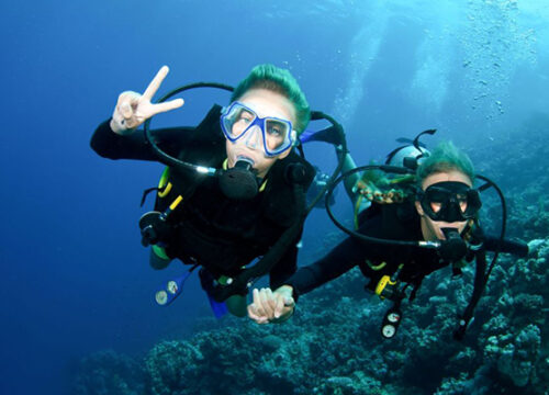 Plongée à Hurghada pour débutants : le guide complet