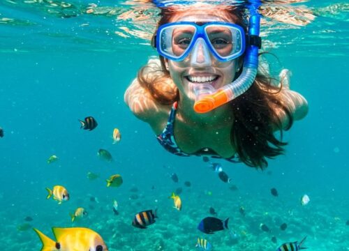Guide complet du snorkeling en Égypte