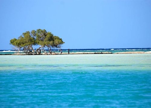 Wadi El Gemal – Entre montagnes du désert et mer Rouge