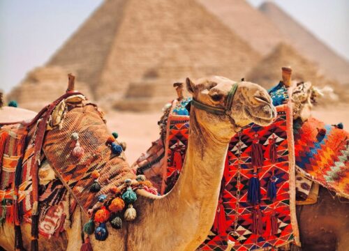 Une journée parfaite en Égypte : comment organiser son excursion idéale ?
