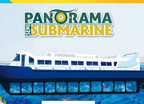 Visite en sous-marin à fond de verre