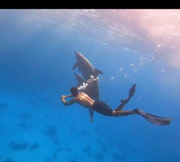 𝗩𝗜𝗣 𝗱𝗮𝘂𝗽𝗵𝗶𝗻𝘀 𝗮̀ 𝗛𝘂𝗿𝗴𝗵𝗮𝗱𝗮