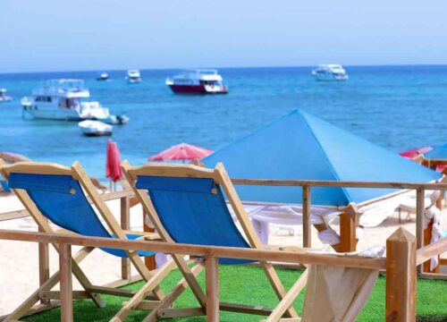 Les Merveilles de la Mer Rouge : Guide Complet des Activités Marines Incontournables