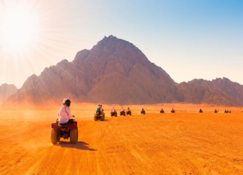 Mer et désert : les excursions combinées pour une expérience complète en Égypte