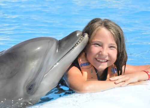 Séance photo avec dauphin