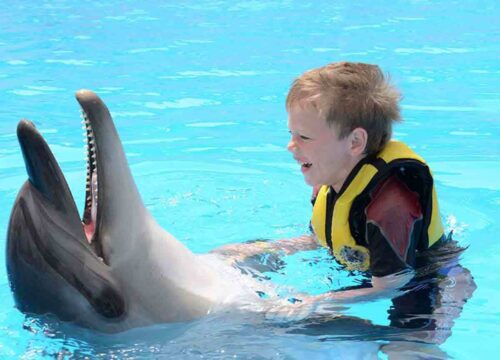 Nage avec dauphin (5 minutes)