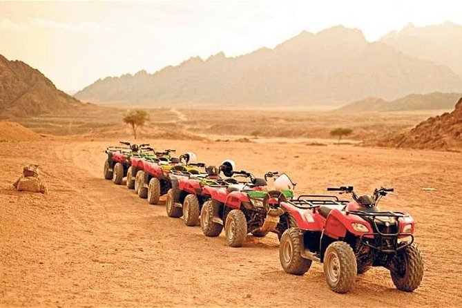 https://media-cdn.tripadvisor.com/media/attractions-splice-spp-674x446/09/59/a6/e1.jpg