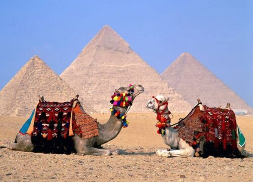 L’hospitalité égyptienne expliquée : découvrez l’accueil chaleureux et la culture locale en Égypte