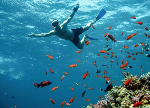 Les 20 meilleures activités à faire à Hurghada (Guide complet)