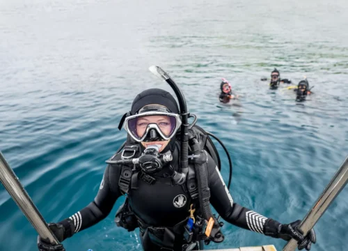 Plongée à Hurghada pour débutants : le guide complet pour découvrir les fonds marins de la mer Rouge