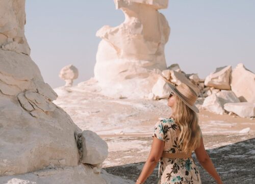 Égypte nature : déserts, oasis et mer
