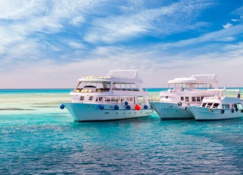 Petites excursions ou excursions d’une journée entière : que choisir en Égypte ?