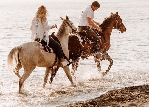 Faire du cheval en Égypte : entre plage, désert et liberté