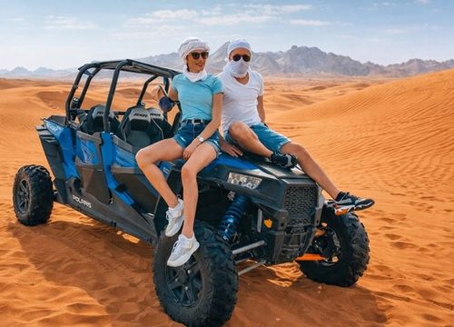 Safari dans le désert en Égypte : une aventure inoubliable